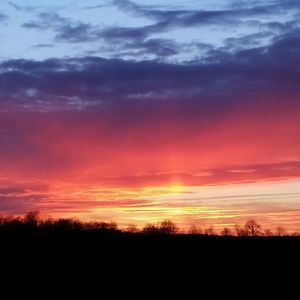 Meet your Posher, Millie